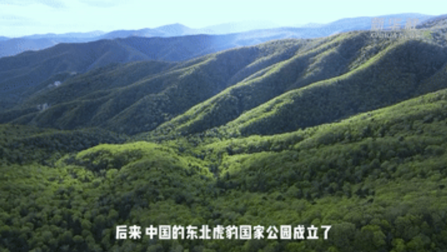QQ截图20230728153053.png