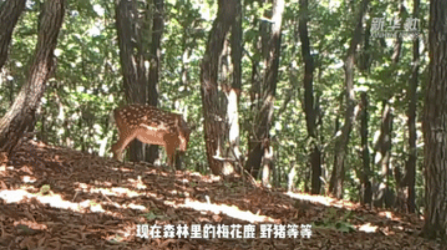 QQ截图20230728153112.png